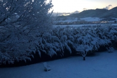IMG-20190205-WA0006