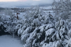 IMG-20190205-WA0008